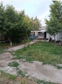 Hamyonbop narxda uchastka srochna qi