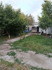 Ташкентская область, Ташкент, Шайхантахурский район