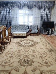 Паркентский 4 ком евро дома аренда