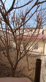 4 ком Кабельний завод ориентир дома аренда