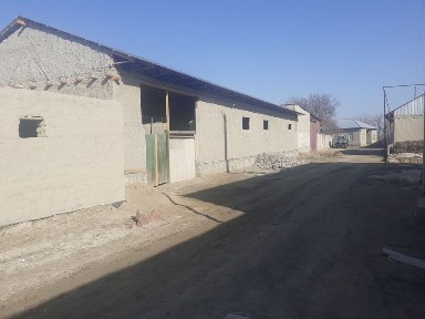 Бухоро в Когон т