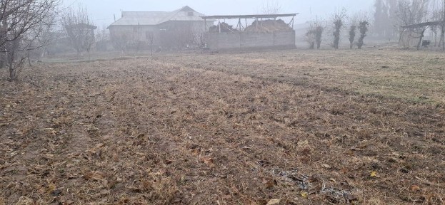 Ташкентская область, Пскент