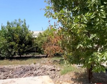 Участок в сергели