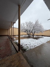 Продается Участок 8 соток ремонт Олмос махалля, круг Рохат