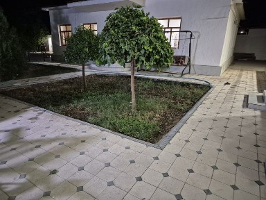 Газалкент думалок корамозор тарафда дача сотилади ёр нархида.