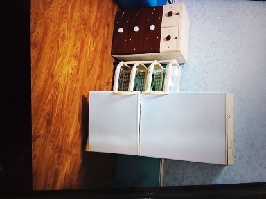 Ташкентская область, Ташкент, Яшнабадский район