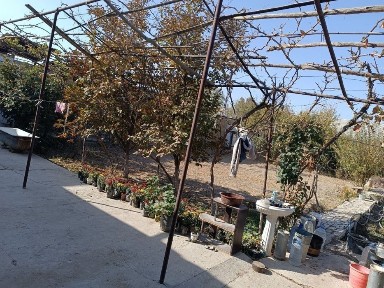 Навоийская область, Навои