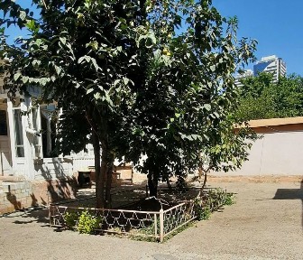 Ташкентская область, Ташкент, Яккасарайский район