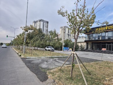 Ташкентская область, Ташкент, Сергелийский район