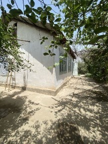 Кашкадарьинская область, Карши