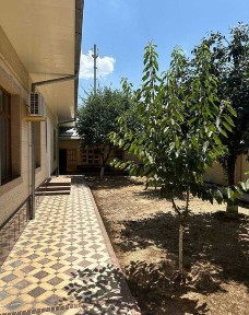 Uchaska sotiladi Uchtepa kokcha oqtepada