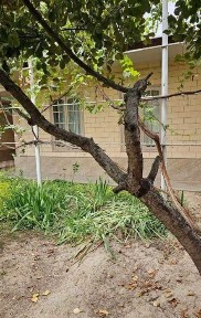 ПРОДАЕТСЯ ДОМ! 4.45соток|Самарканд Дарвоза, ул Джизакская ААА