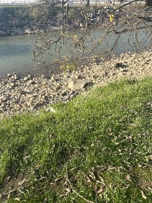 Уй сотилади /uy sotiladi