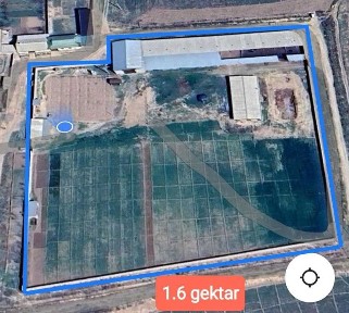 Chorva Ferma Sotiladi