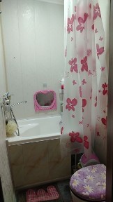 Ташкентская область, Мирабад