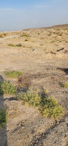 Самаркандская область, Самарканд