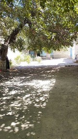 Самаркандская область, Каттакурган