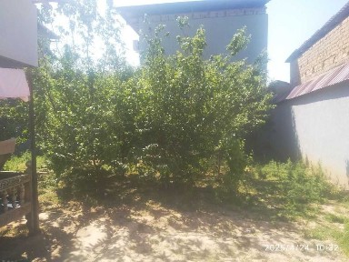 Ташкентская область, Ташкент, Юнусабадский район