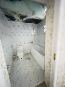 Ташкентская область, Зангиата