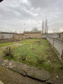 Ташкентская область, Янгибазар