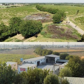 Ташкентская область, Янгиюль