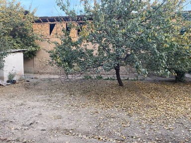 Ташкентская область, Келес