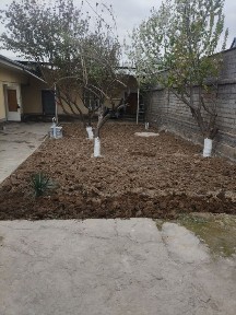 Ташкентская область, Эшангузар