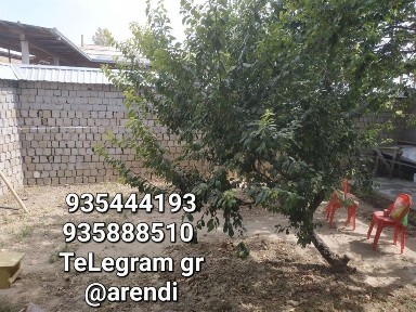 Ташкентская область, Ташкент, Алмазарский район