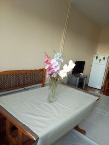 Янги йилга янги хона.