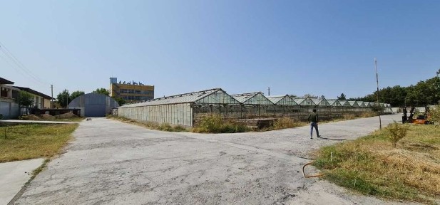 Ташкентская область, Янгиюль