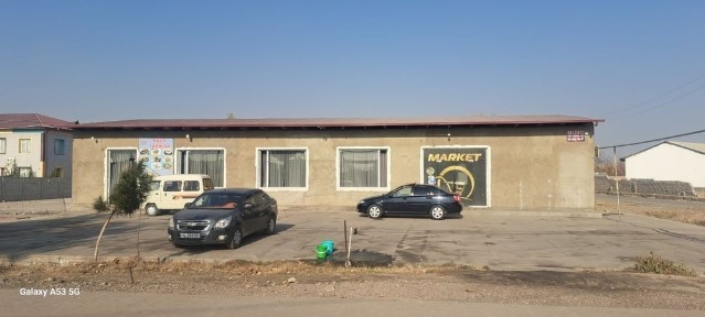 Ташкентская область, Ташморе