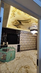 3x компания квартира