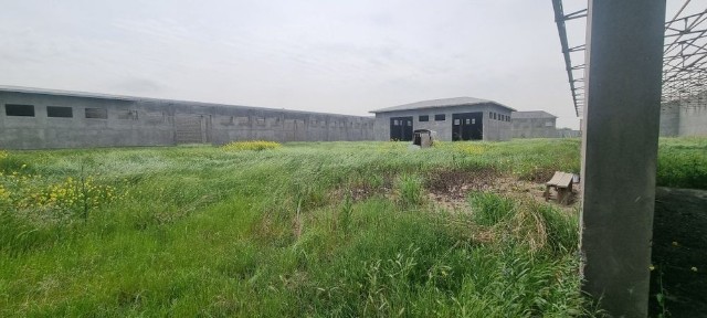 Ташкентская область, Ташкент, Чиланзарский район