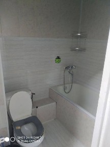 Ташкентская область, Алмалык