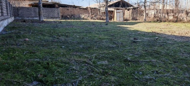 Ташкентская область, Алмалык