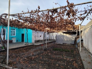 Ферганская область, Янги Маргилан