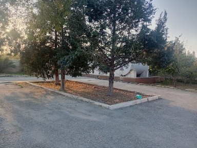 Ферганская область, Фергана