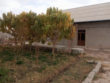 Срочно ховли сотилади!.