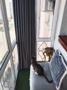 Хорезмская область, Ханка