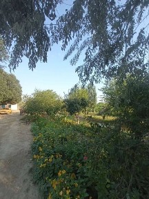 Hamma sharoit bor.Yashashga tayyor hovlili uy