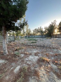 Навоийская область, Навои