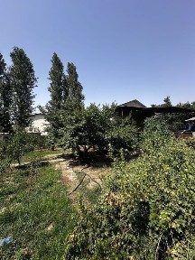 Ташкентская область, Ташкент, Мирзо-Улугбекский район