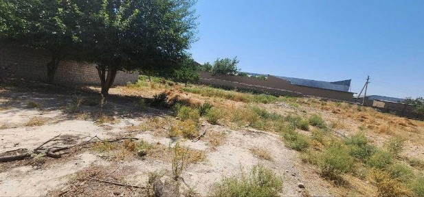 Самаркандская область, Самарканд