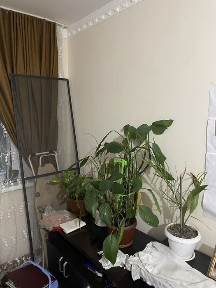 Ташкентская область, Чирчик