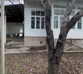 Ташкентская область, Ташкент, Учтепинский район