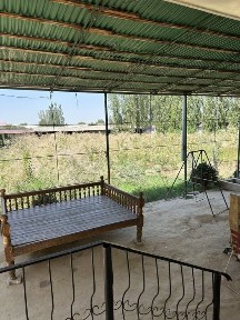 Ташкентская область, Янгиюль