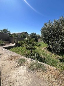 Навоийская область, Кызылтепа