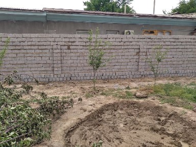 Ташкентская область, Ташкент, Алмазарский район