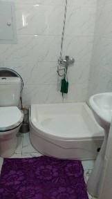 Сырдарьинская область, Янгиер