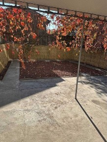 Ташкентская область, Ташкент, Яккасарайский район